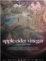 Apple Cider Vinegar在线观看