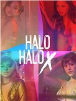 Halo-Halo X在线观看
