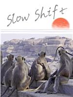 Slow Shift在线观看