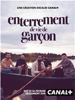 Enterrement de vie de garçon在线观看