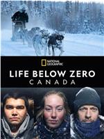 零度以下的生活：加拿大 第二季在线观看