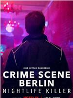 柏林犯罪现场：夜生活杀手在线观看