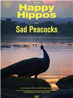 About Happy Hippos and Sad Peacocks在线观看