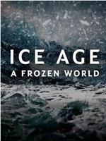 冰河时代：冰封的世界 第一季