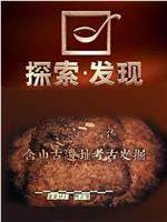 探索发现：含山古遗址考古发掘在线观看