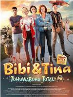 Bibi & Tina: Tohuwabohu total在线观看