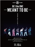 BE:the ONE -MEANT TO BE-