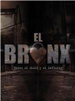 El Bronx: Entre el cielo y el infierno Season 1