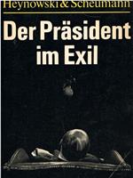 流亡总统在线观看