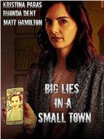 Big Lies in a Small Town在线观看