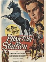 The Phantom Stallion