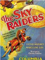 The Sky Raiders