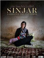 Sinjar, naissance des fantômes在线观看