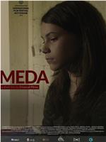 Meda