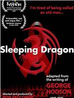 Sleeping Dragon