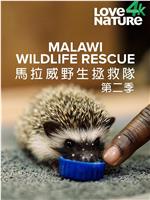 Malawi Wildlife Rescue Season 2