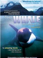 The Whale