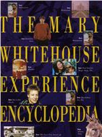 The Mary Whitehouse Experience