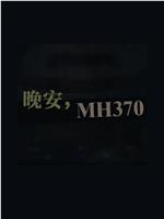 晚安,MH370