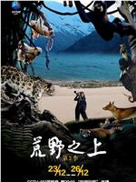 荒野至上 第三季