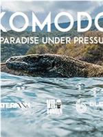 Komodo: A Paradise Under Pressure