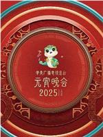 中央广播电视总台2025年元宵晚会