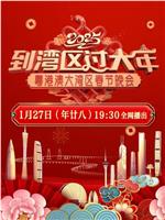 到湾区过大年——2025蛇年粤港澳大湾区春节晚会在线观看