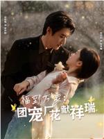 福到万家团宠厂花献祥瑞在线观看