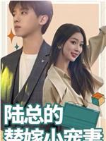 陆总的替嫁小宠妻