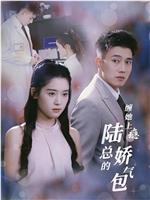 缠她上瘾陆总的娇气包