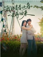 我的青春小鸟一去再回来