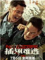 插翅难逃
