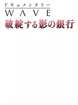 影子银行的破灭：动摇中国社会的新危机在线观看和下载