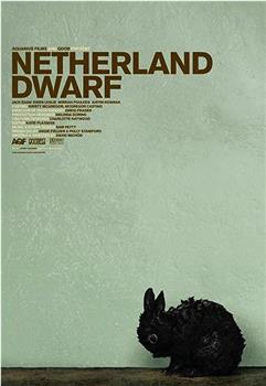 Netherland Dwarf在线观看和下载