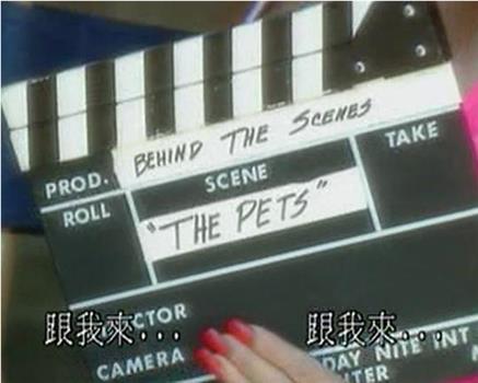 Penthouse: Behind the Scenes在线观看和下载