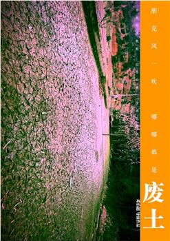 废土在线观看和下载