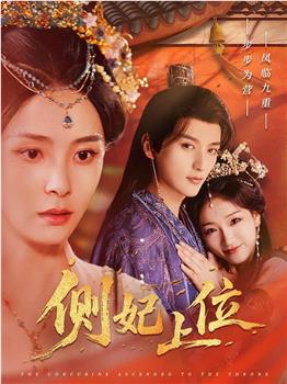 侧妃上位在线观看和下载