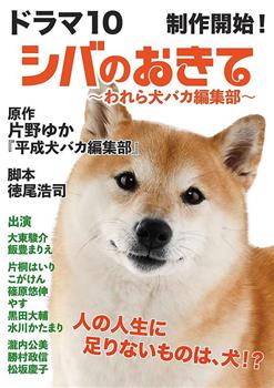 柴犬的规矩～我们这群狗痴编辑部～在线观看和下载