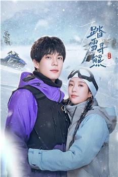 踏雪寻熊在线观看和下载