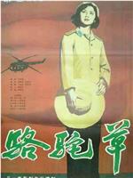 骆驼草