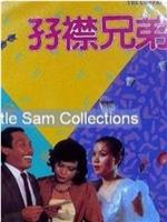 双襟兄弟