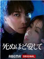 爱你至死观看